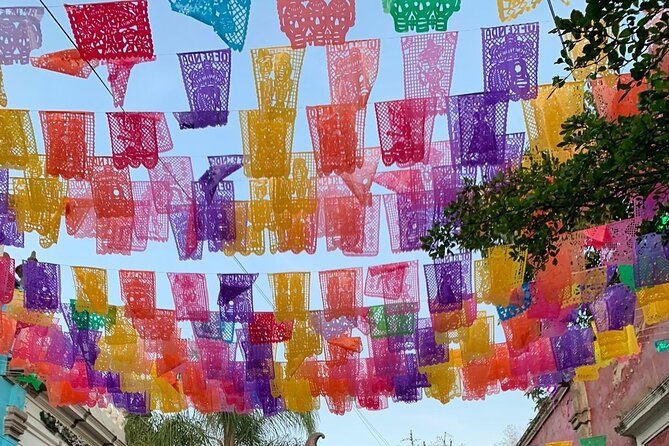 Tequila Premium Tour Destination Agave - Exploring Agave Fields and the "El Pedregal" Hacienda