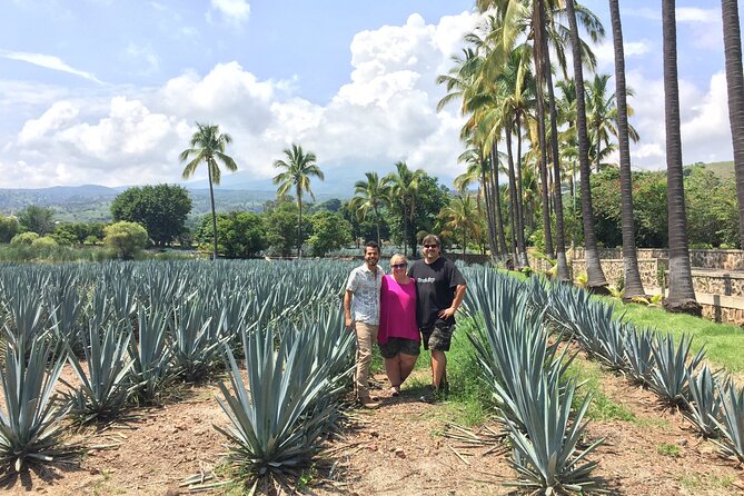 Tequila: Private Half-Day Tour - Timing, Booking, and Cancellation Policies