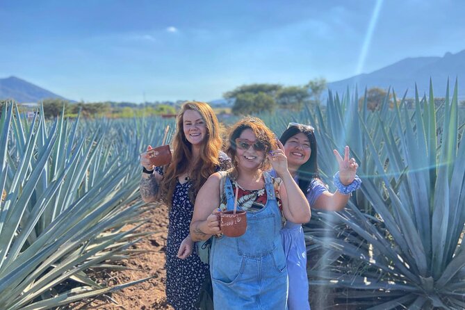 Tequila Pueblo Magico Adventure Day Trip from Puerto Vallarta - Explore the Heart of Tequila on a Full-Day Trip from Puerto Vallarta