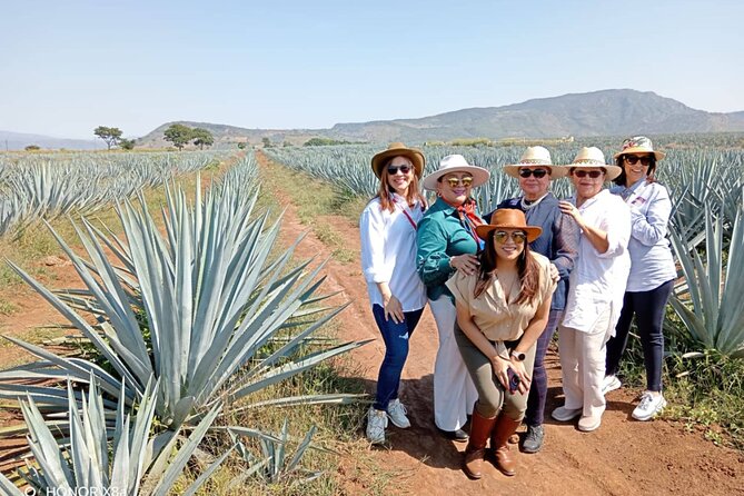 Tequila Pueblo Magico Adventure Day Trip from Puerto Vallarta - Tour Logistics and Included Amenities