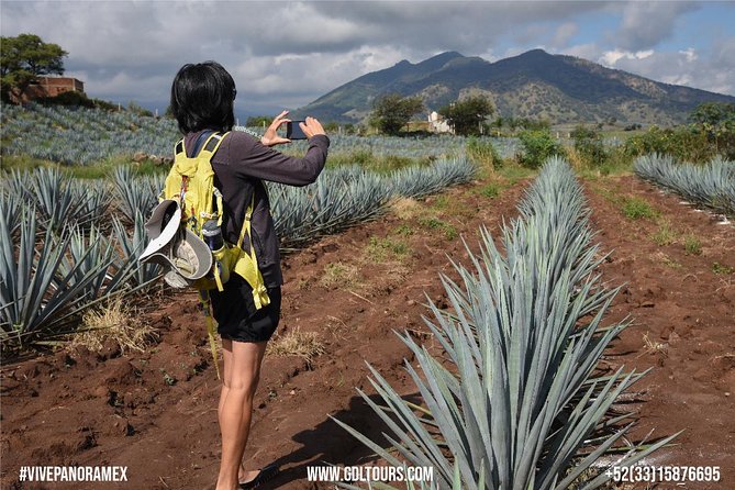 Tequila Route Experience from Guadalajara - Exploring the Village of El Arenal: The Heart of Tequila Land