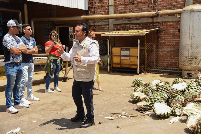 Tequila Route Experience from Guadalajara - Tasting the Unique Tequila at Amatitán
