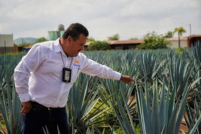 Tequila Tour - Discover the Charm of the Tequila Tour in Guadalajara