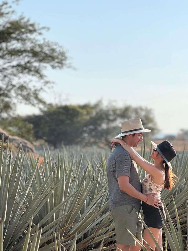 Tequila: Town and Distillery Guided Tour with Tastings - The Final Stop at Cantaritos el Güero #1