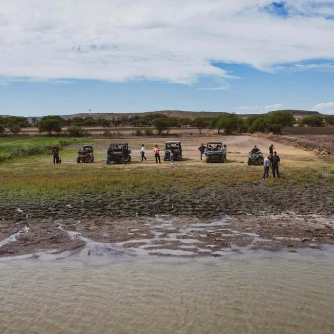 Tequisquiapan: UTV Tour with Wine Tasting and Cheese Pairing - Key Points