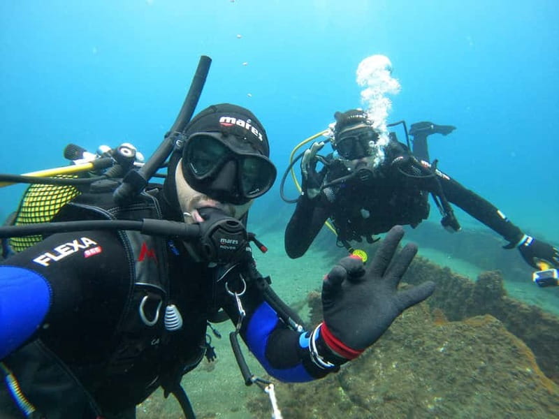 Terceira Azores: Scuba-Double dive Trip(certified Divers) - Key Points