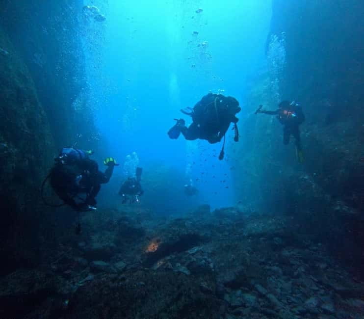 Terceira Azores: Scuba-Double dive Trip(certified Divers) - Cost, Cancellation Policies, and Booking Flexibility