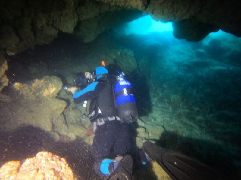Terceira Azores: Scuba-Double dive Trip(certified Divers) - Final Thoughts on the Certified Double Dive Tour