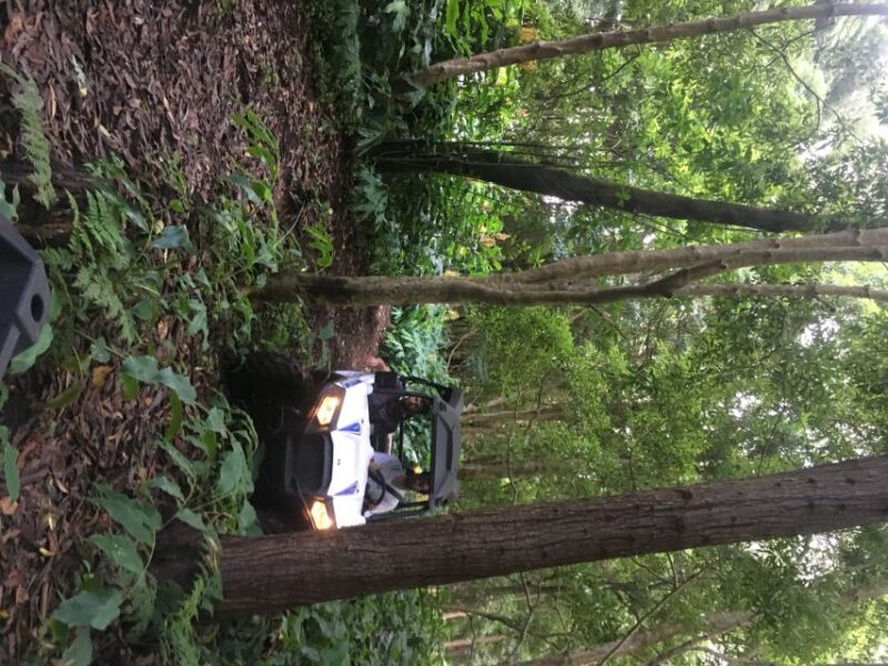 Terceira: Buggy Tour 4x4 West Side Azores Retreat - The Experience of Driving the 4x4 UTV