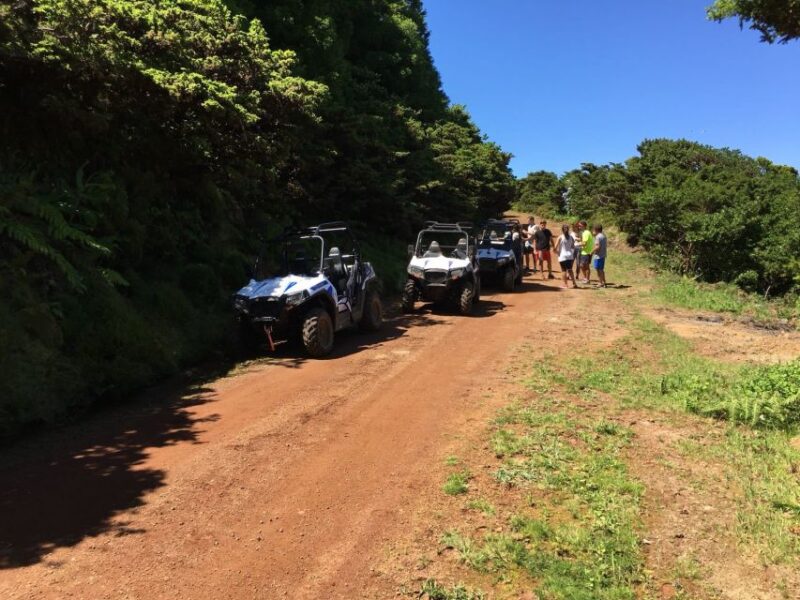 Terceira: Buggy Tour 4x4 West Side Azores Retreat - What Makes This Tour Stand Out?