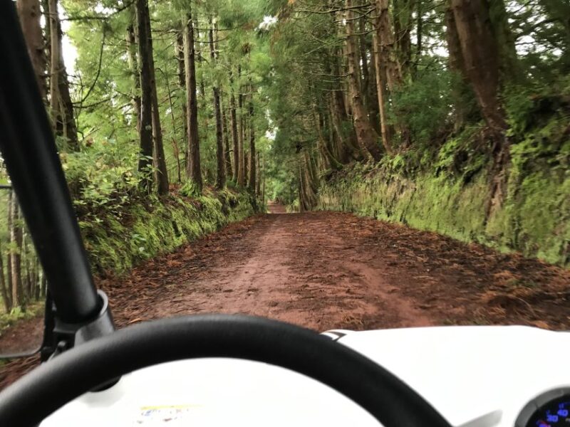 Terceira: Buggy Tour 4x4 West Side Azores Retreat - Practical Tips for Your Buggy Adventure