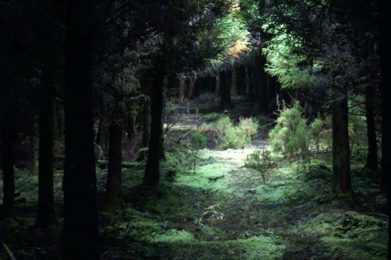 Terceira Island: 4x4 Land Rover Tour with Traditional Lunch - Logistics: Easy Pickup and Group Options