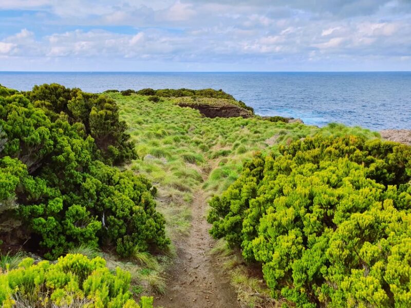 Terceira Island: Baías da Agualva Hike + Picnic + Biscoitos - The Cost-Effectiveness and Value of the Tour