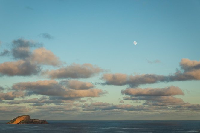 Terceira Island Best Viewpoints: Half Day Tour - Discover the Best Viewpoints of Terceira Island in Half a Day