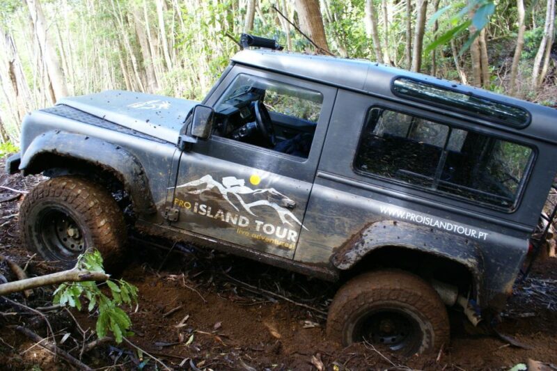 Terceira Island: Full-Day Mud Adventure & Traditional Lunch - What Makes This Tour a Unique Choice on Terceira