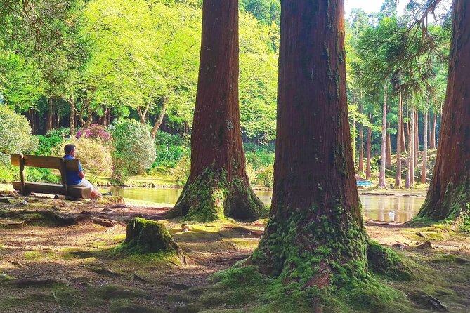 Terceira Island full day tour - Northern Coast and Volcanic Bays at Baias da Agualva