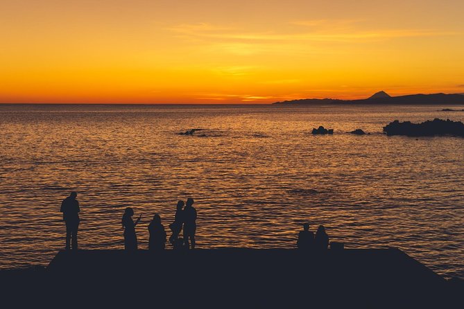 Terceira Island: Full Day Tour - Discovering Monte Brasil and Its Nature Park