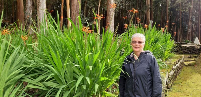 Terceira Island: Full Day Van Tour - Exploring Monte Brasil and Its Views