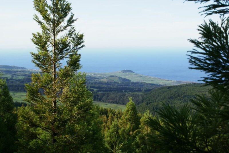 Terceira Island: Half-Day 4X4 Tour - Key Points