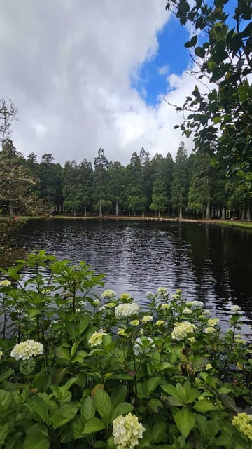 Terceira Island : Half-Day Van Tour to the Caves - Comfortable Transportation and Expert Guiding