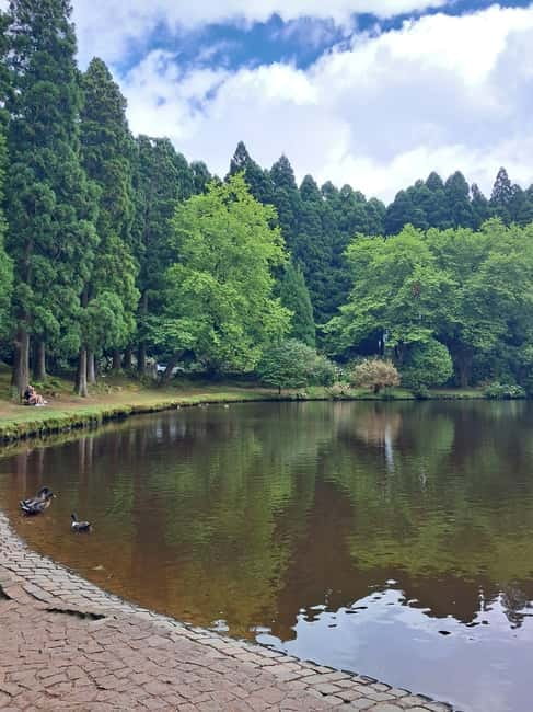 Terceira Island: Highlights Tour with Traditional Lunch - Suitability and Pacing of the Tour