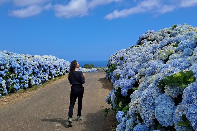 Terceira Island Highlights with Traditional Lunch - Taking in the Patchwork View at Serra do Cume