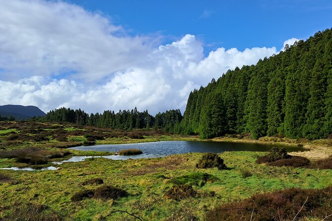 Terceira Island Highlights with Traditional Lunch - Authentic Azorean Flavors at a Local Serreta Restaurant