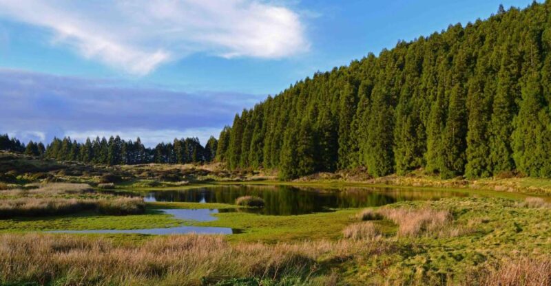 Terceira Island: Mistérios Negros Hiking - Exploring the Mistérios Negros Trail and Its Unique Features