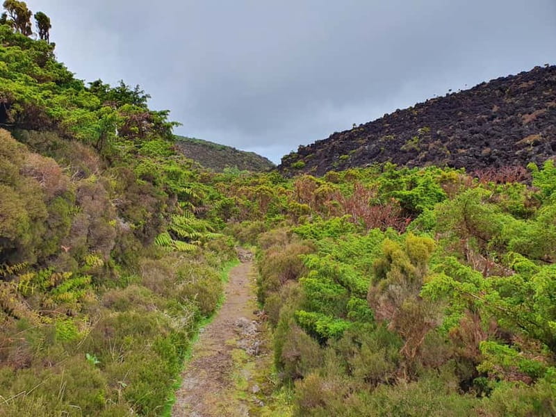 Terceira Island: Mistérios Negros & Mist. Novo Hike w/picnic - Key Points