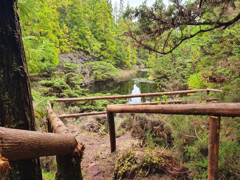 Terceira Island: Mistérios Negros & Mist. Novo Hike w/picnic - Discovering the Mistérios Negros Trail and Azorean Volcanoes