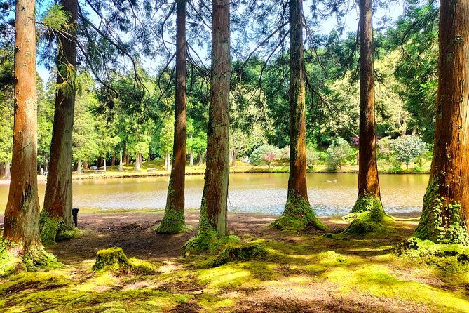 Terceira Island Private Full-Day Slow Tour with Lunch and Pickup - Monte Brasil: Panoramic Views from an Extinct Volcano