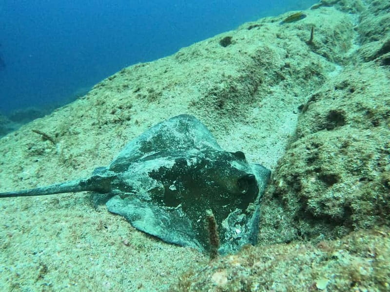 Terceira Island: Snorkeling Adventure - Flexibility and Booking Options: Cancel or Reserve with Ease