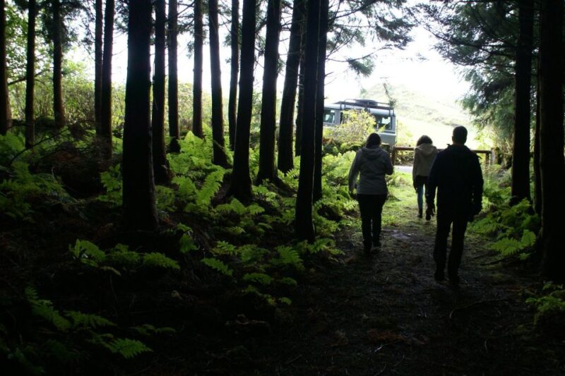 Terceira Island Whale Watching and Jeep Tour - Authentic Outdoor Lunch with Local Flavors