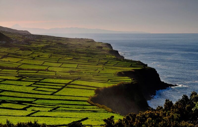 Terceira Island Whale Watching and Jeep Tour - Why Choose This Tour on Terceira Island?