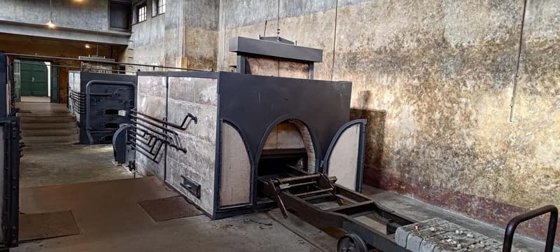 Terezín: Private Day Trip from Prague - Tour Logistics and Physical Expectations