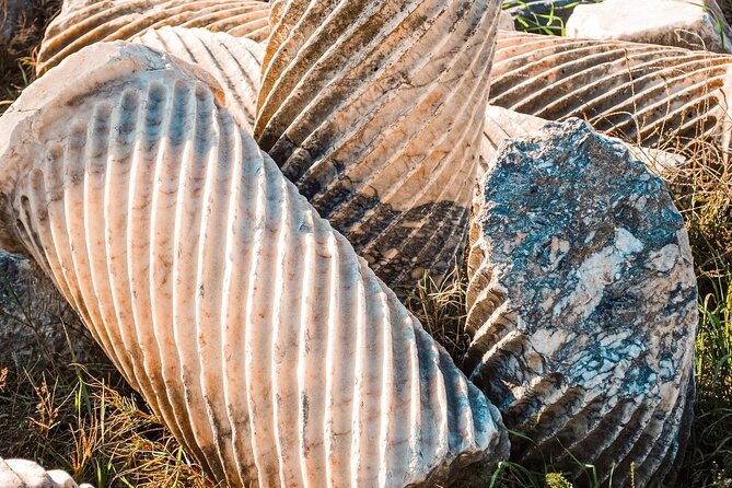 Termessos, Antalya Museum, and Kaleici Day Tour - Who Should Consider This Tour