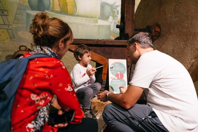 Terra Museum - Accessibility and Practical Amenities for Visitors