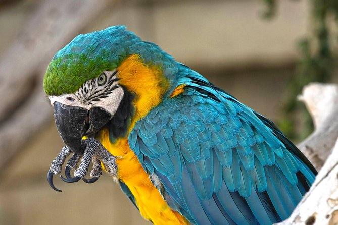 Terra Natura Benidorm Entrance Ticket - Cost and Value for Money