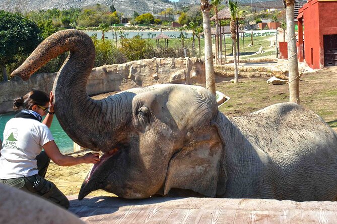 Terra Natura Benidorm Entrance Ticket - Frequently Asked Questions about Terra Natura Benidorm