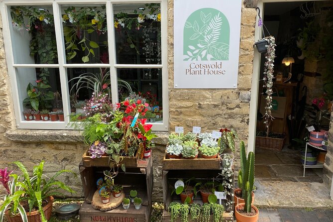 Terrarium Making Experience in Cirencester - Starting Point at the Cotswold Plant House in Cirencester