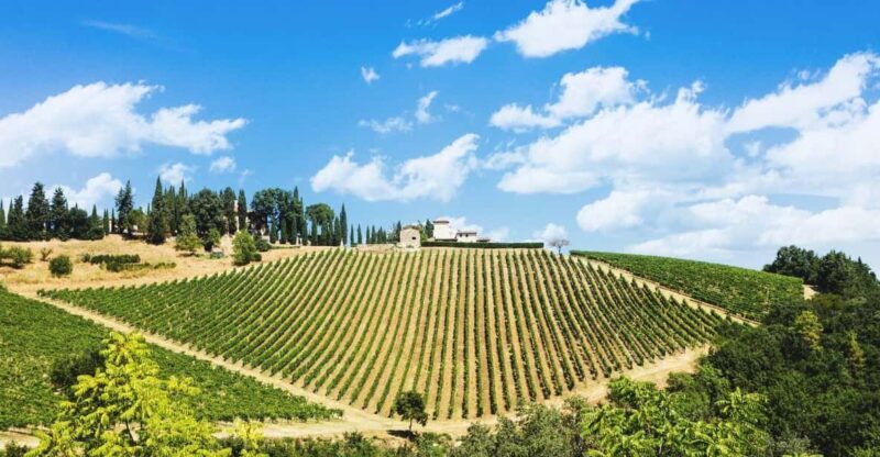 Terricciola Valdera E-Bike Tour + Wine Tasting, Photo Shoot - Starting Point in Terricciola for an Authentic Tuscan Ride