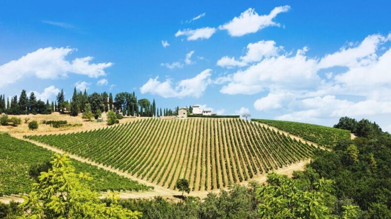 Terricciola Valdera E-Bike Tour + Wine Tasting, Photo Shoot - Final Thoughts on the Terricciola Valdera E-Bike Tour