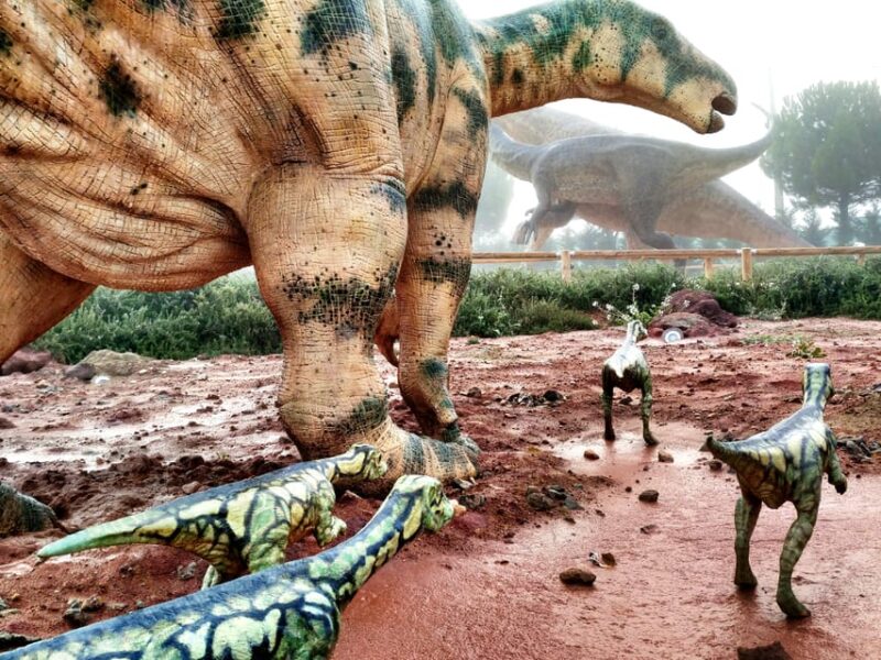 Teruel : Dinopólis Entry ticket - Discover the Dinosaur World at Dinopólis in Teruel for $40