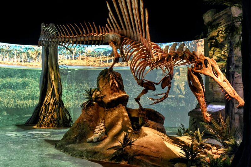 Teruel : Dinopólis Entry ticket - The Impressive Dinosaur Replicas and Their Scientific Accuracy