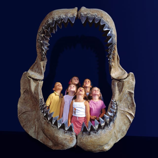 Teruel : Dinopólis Entry ticket - Why Dinopólis in Teruel Stands Out