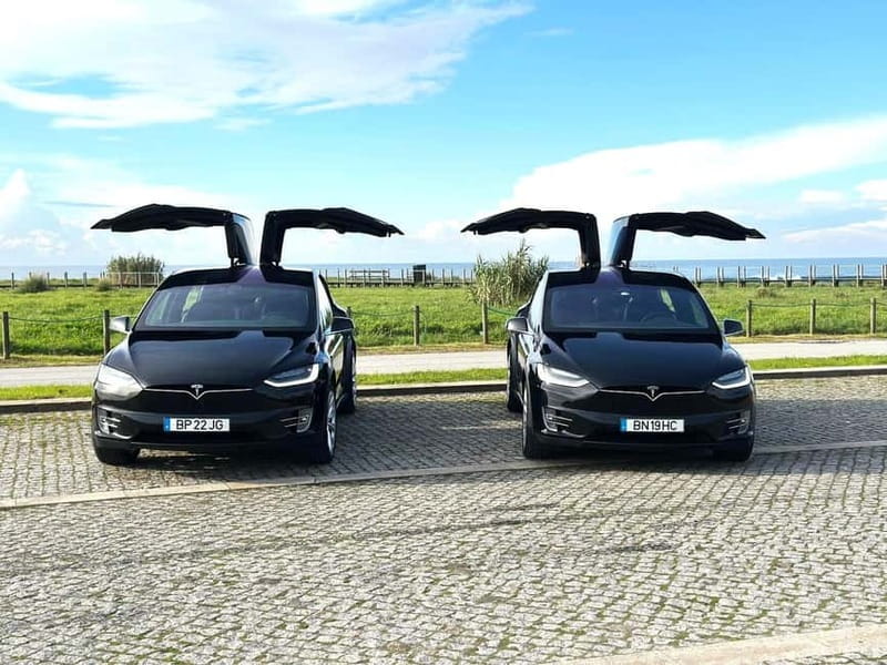 Tesla Premium Private Tours - Porto to Douro Valley - Exploring the Douro Valley with a Certified Guide