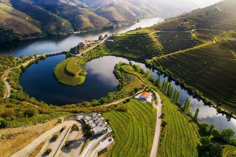Tesla Premium Private Tours - Porto to Douro Valley - The Regional Lunch and Drinks Included