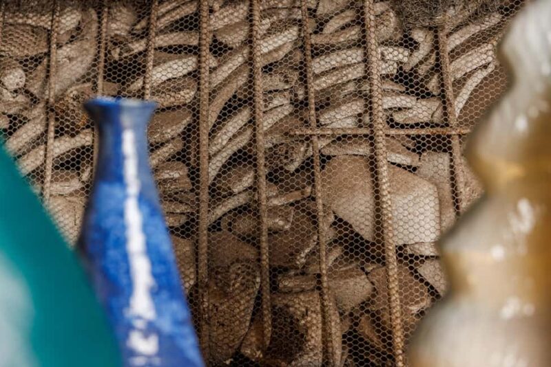 Testaccio: exclusive tasting of Lazio PDO cheeses - Testaccio: Lazio PDO Cheese Tasting — A Final Word