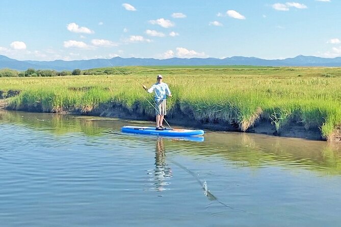 Teton River Paddleboard Adventure - 4.5 Miles - What Wildlife Might Be Seen on the Teton River?