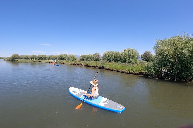 Teton River Paddleboard Adventure - 4.5 Miles - The Experience: Scenic Views and Relaxed Paddling